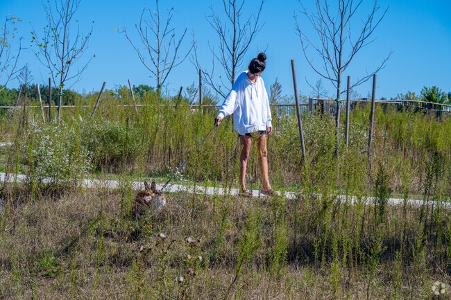 West Carmel's West Park, features natural areas where a dog can be a dog.