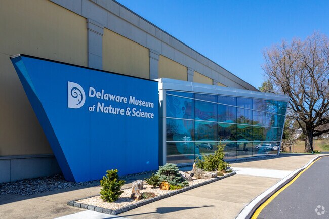 Delaware Museum of Nature & Science in Greenville allows children to explore.