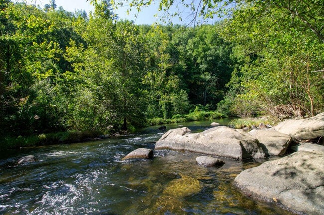 644 Gladdens Creek Rd unit ID1268185P, Robbinsville, NC 28771 - photo 6