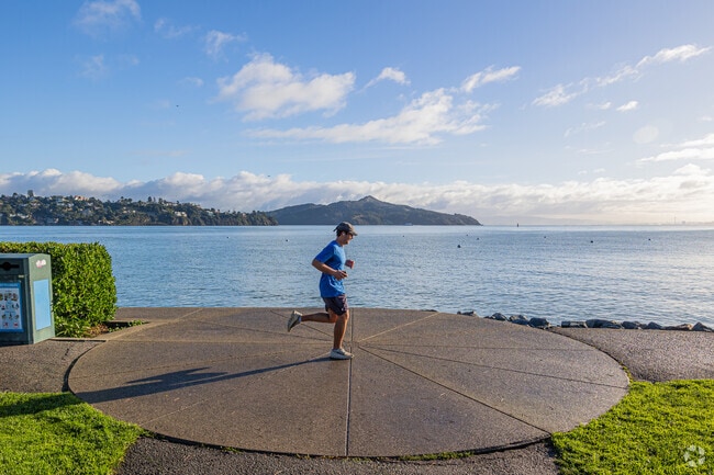 Jogging by the bay, where sea meets sky in serene Sausalito.