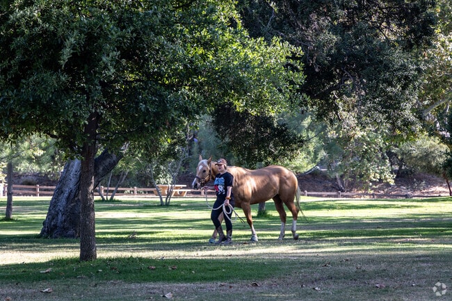Take a stroll in Glenwood, where you might spot someone walking their horse.