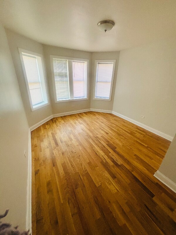 6847 S Indiana Ave unit 1f, Chicago, IL 60637 - photo 3