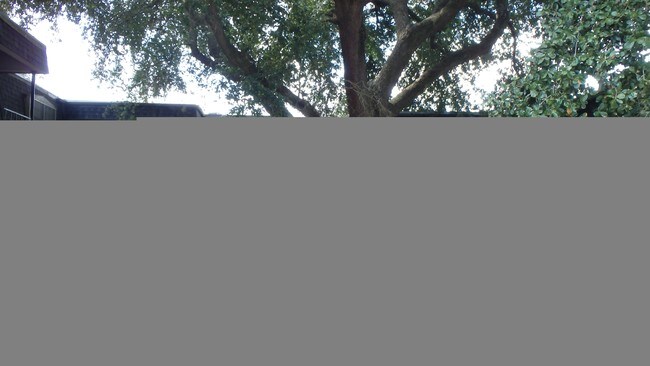 Chateau 1000, Beaumont, TX 77701 - photo 7