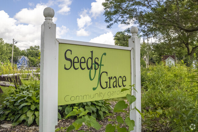The Cooperative School has a community garden adjacent to it.