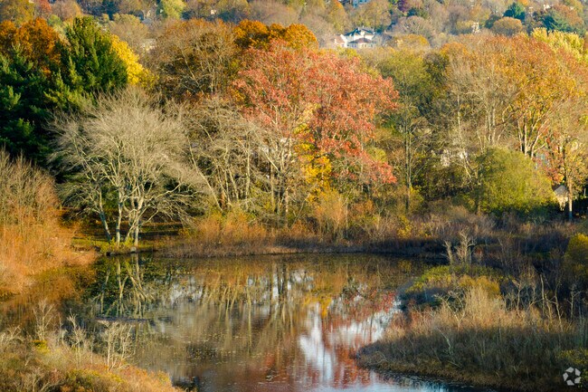Matteson Pond is a natural refuge bringing bio diversity to the Centreville neighborhood.