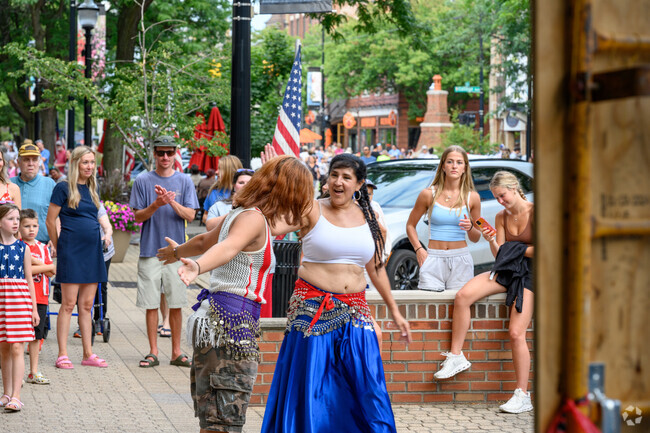 A crowd enjoys a belly dancing display on 8th St. in Holland during the July 4th holiday.
