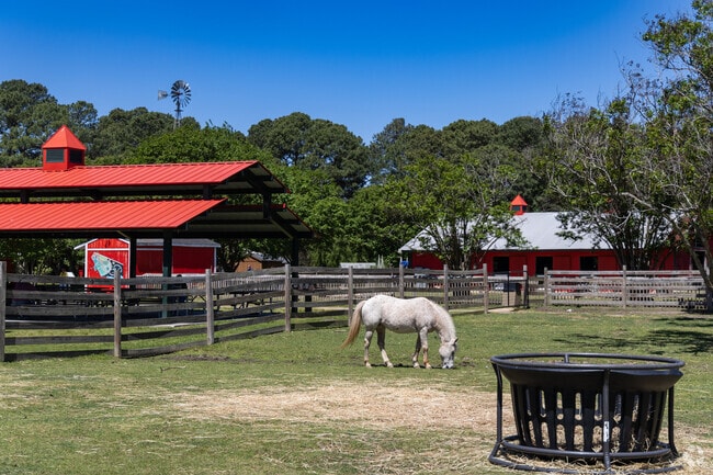 Meet over 150 animals, from horses and cows to llamas and peacocks, at Birdland Gap Farm, a free city park just a few minutes from Parkview.