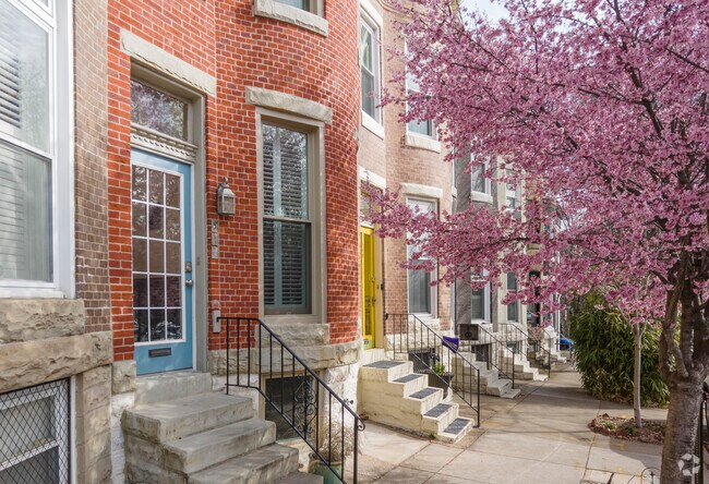 Cherry blossom trees bloom bring life to the Wyman Park neighborhood.
