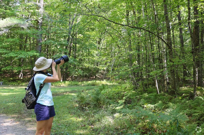 Photographers love spotting birds at Thorncrag Bird Sanctuary in Lewiston.