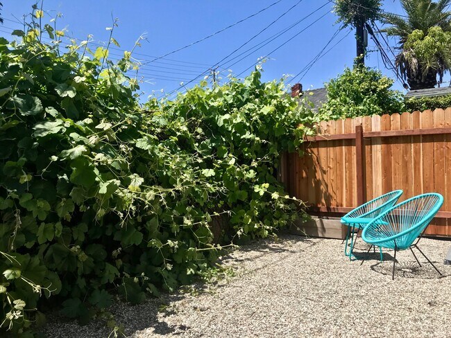 Private west-facing fenced backyard for lovely sunsets