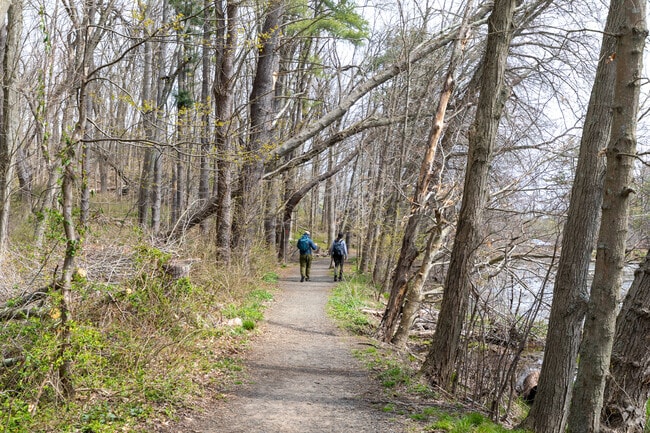 Branford provides walking trails along the water.