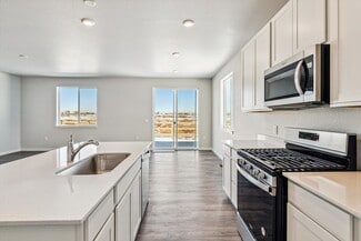 826 Mesic Ln, Windsor, CO 80550