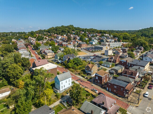 Serene lush greenery in Turtle Creek, PA's natural allure.