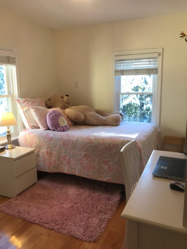 46 Cameron Ave unit 1, Somerville, MA 02144 - photo 7