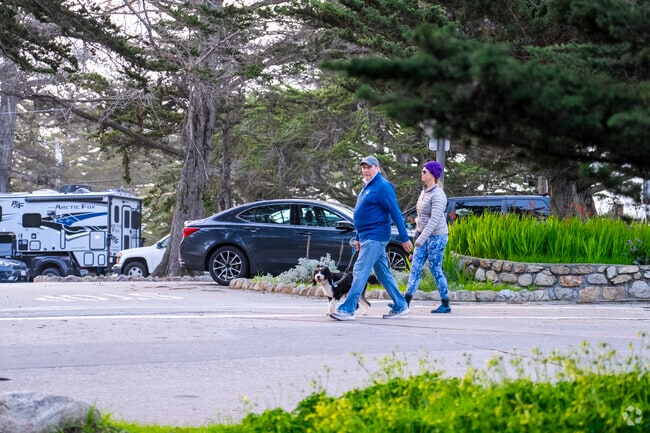 Locals walking their dog in Carmel.