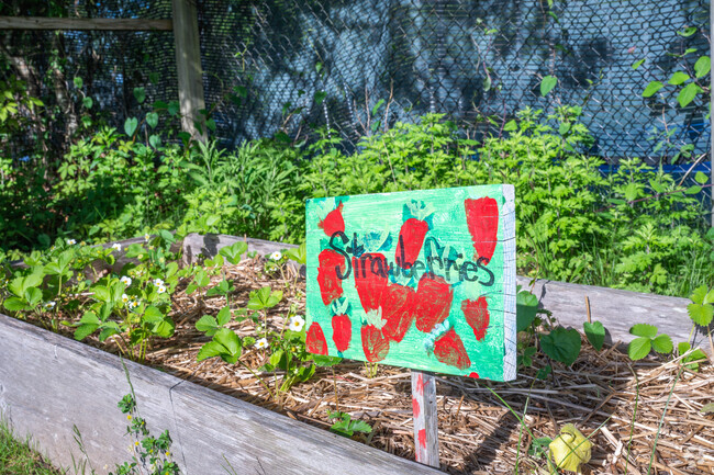 Chilmark Elementary School students can put their hands in the school garden's dirt.