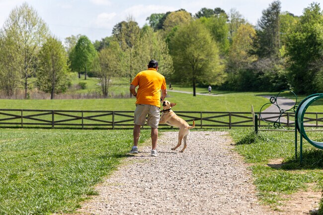 Your pup will love coming to Beverly Dog Park.