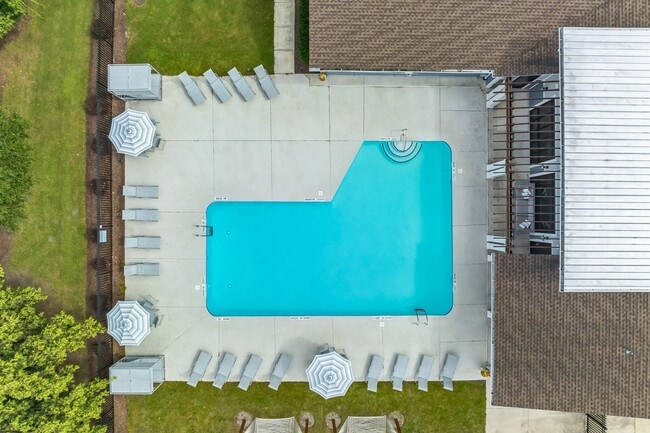 Sparkling Swimming Pool