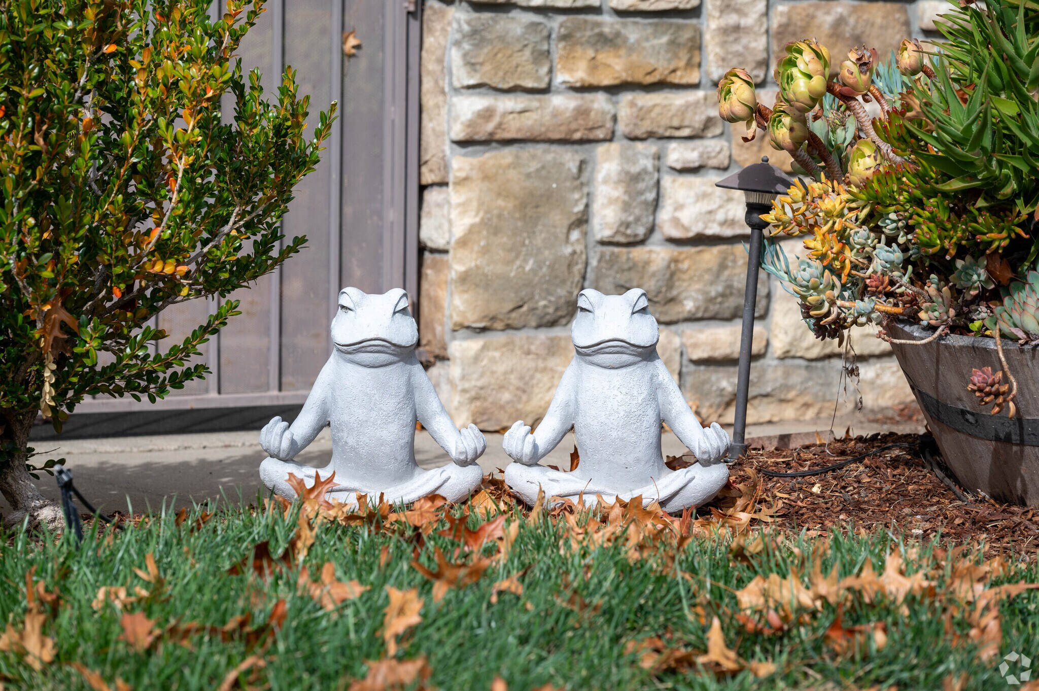 There are plenty of cute little gardens in the El Sereno Corte neighborhood.