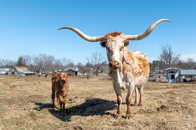 Rolling farmlands around Fishersville, VA stretch toward the Blue Ridge foothills.