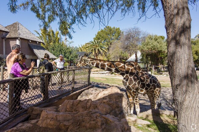 Visitors get up close and personal with giraffes at Reid Park Zoo close to Barrio Centro.