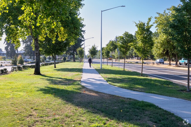 A man takes a morning stroll along MacArthur Blvd, just south of Ogden.
