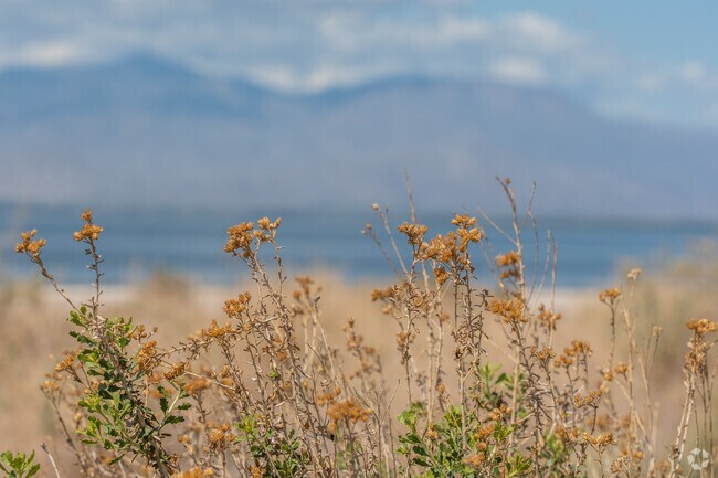 Find a connection with nature and appreciate the unique flora and fauna that thrive in the desert in North Shore.