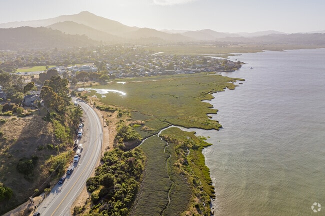 Corte Madera's coast line has bees preserved to be natural, wild marshland.