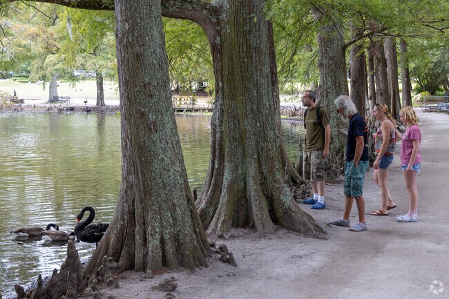Families use the walking paths at Swan Lake to enjoy time together.