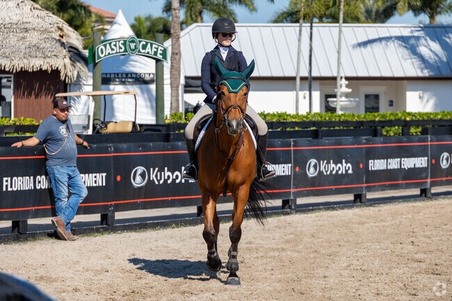 Horses are playing key part of the local culture in Paddock Park.