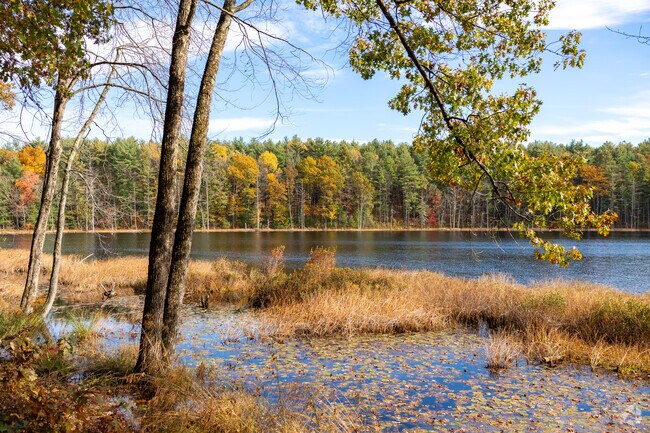 Lovewell Pond in West Hollis offers beautiful views.