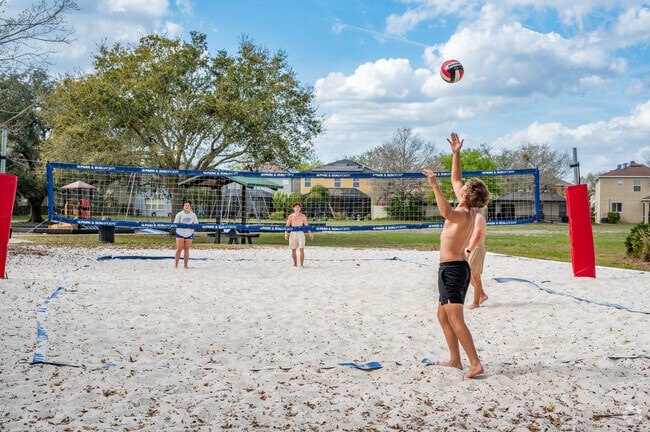 Friends gather for volleyball in the sun at the Ballantrae Park.