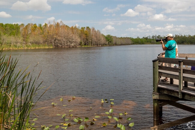 Gator Lake at Six Mile Cypress Slough Preserve is a peaceful nature retreat.