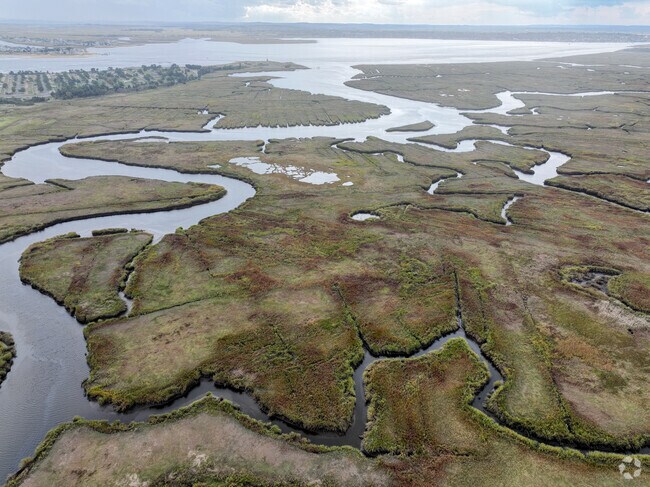 Salisbury Salt Marsh Wildlife Management Area is home to a variety of salt marsh habitats.