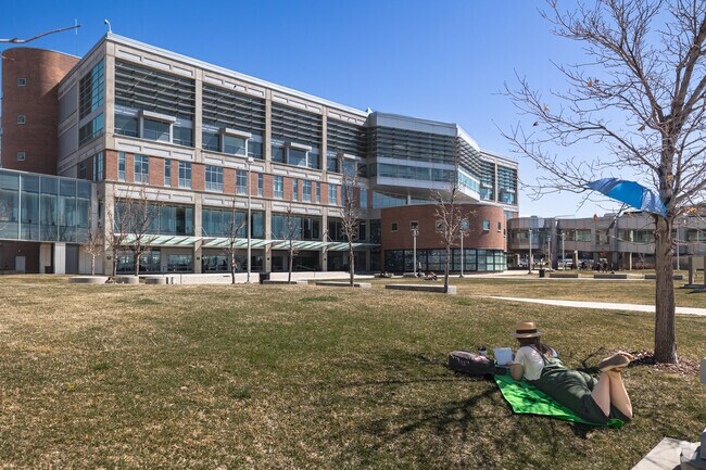 A student studies on the lawn at Futon Library in Sunset Heights.