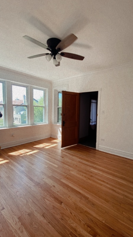 4815 S Springfield Ave Unit 2, Chicago, IL 60632