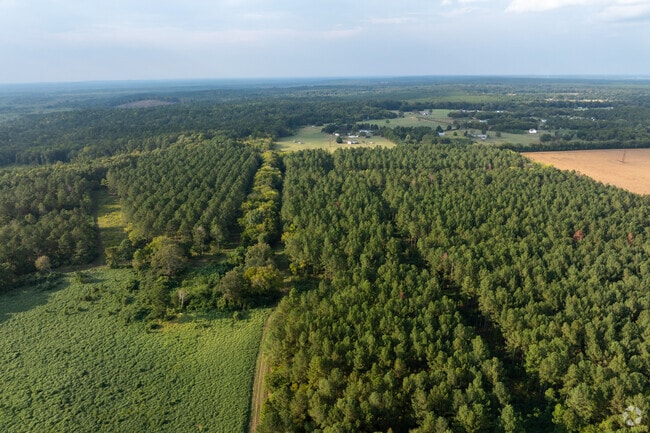 Wedgefield is just 10 minutes from commerce but features peace and quiet.