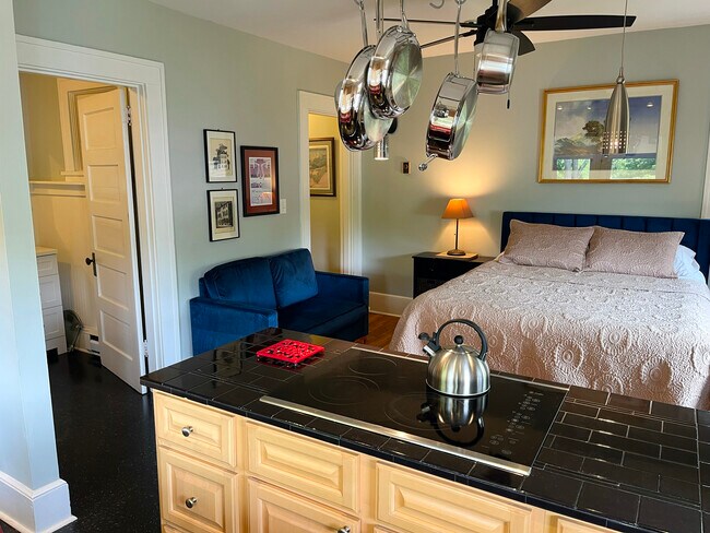 41 Starnes Ave unit 3, Asheville, NC 28801 - photo 3