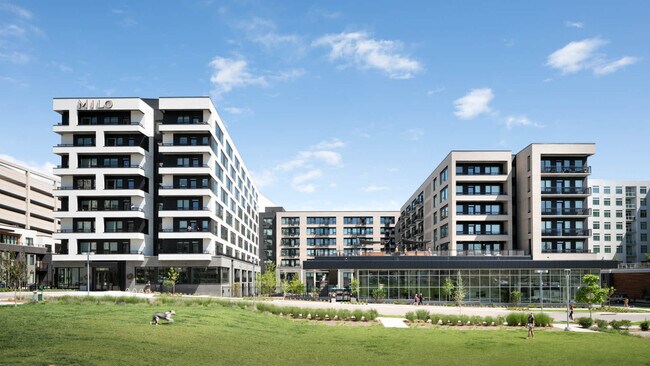 Milo, Denver, CO 80206 - photo 4