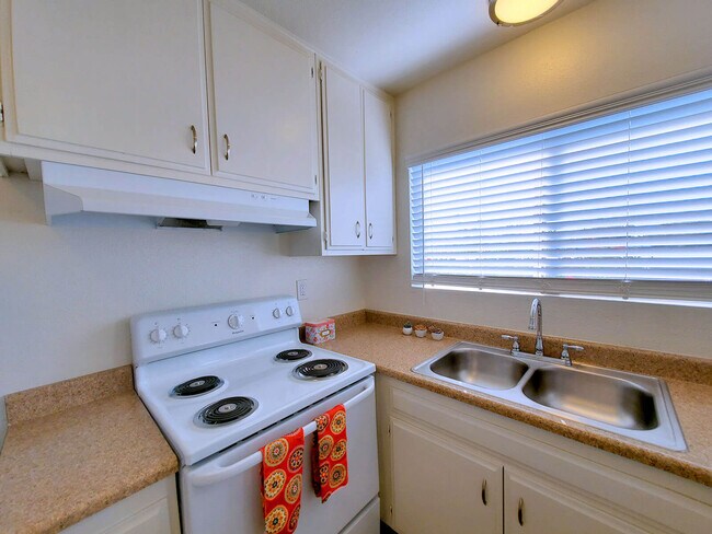 Orchids Apartments, Halliday, ND 58636 - photo 6