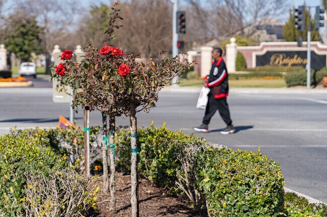 Red roses bloom outside the gated community of Brighton Estates.