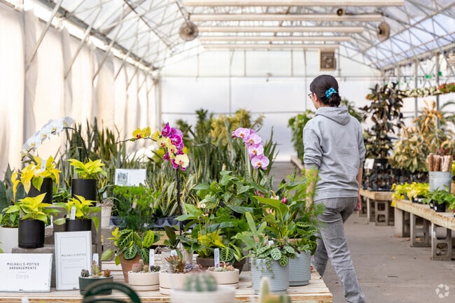Northwest Omaha residents find greenery for their homes at Mulhall's.