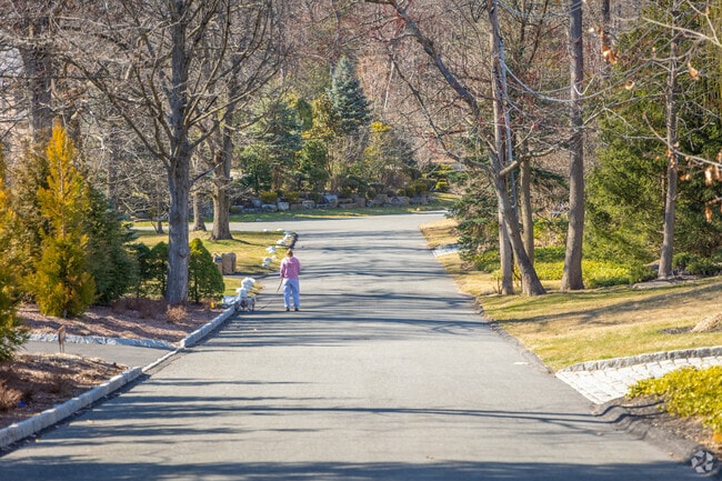 A quiet street for walking in Alpine, NJ.