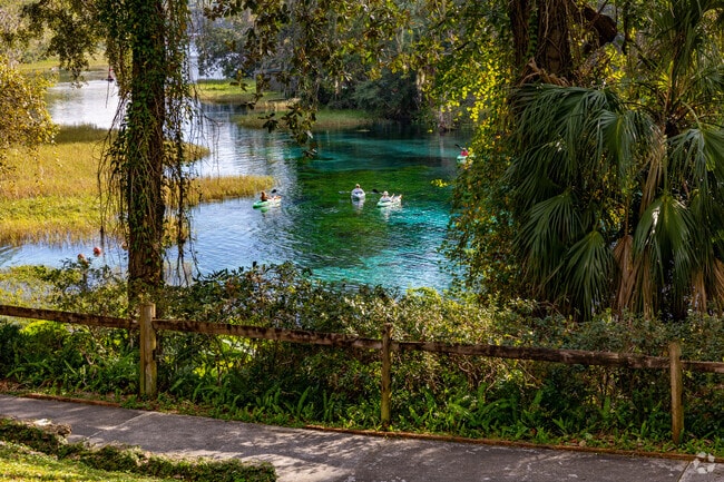 Soak in the sun on a lazy kayak float along the Rainbow River.