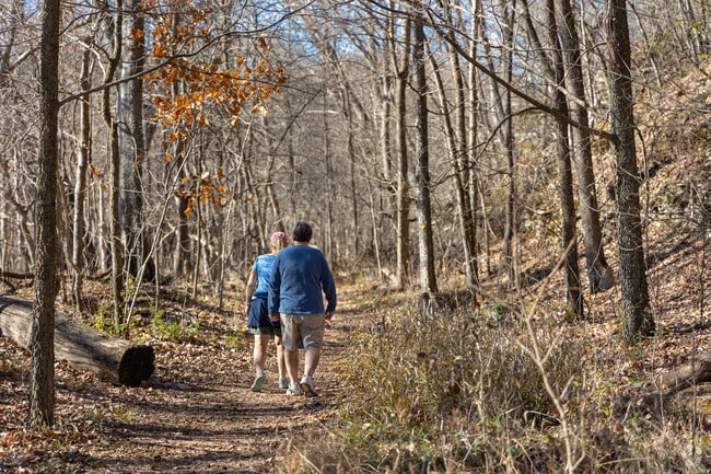 Hikers fill the trails at Rockwoods Reservation, a popular Wildwood spot near Ozark foothills.