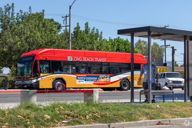 Catch a bus on the Long Beach Transit system in Longwood off Long Beach Blvd.