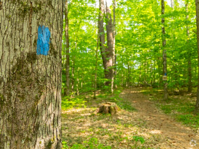 Dutton Pines State Park in Dummerston offers peaceful hiking trails through wooded hills, perfect for nature lovers and explorers.