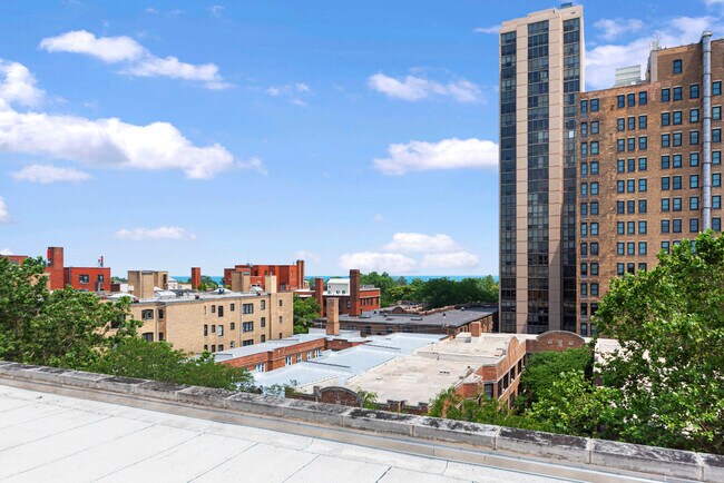 2300 N Commonwealth Ave unit 1A, Chicago, IL 60614 - photo 7