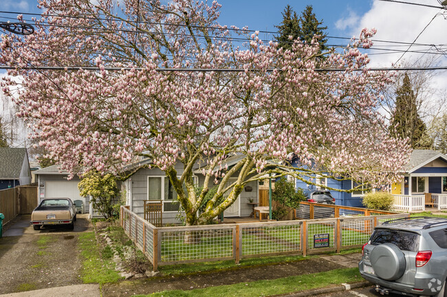 Sumner is naturally beautiful, with large trees blooming throughout the neighborhood.