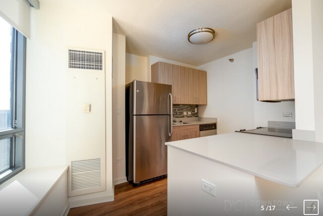 Admirals Pointe unit 4505, Chicago, IL 60654 - photo 6